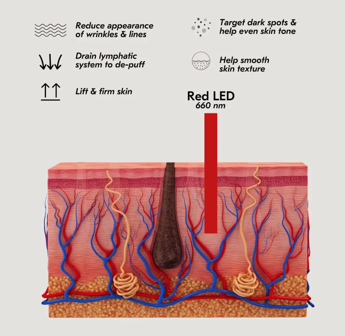 Mount Lai: Red Light Gua Sha