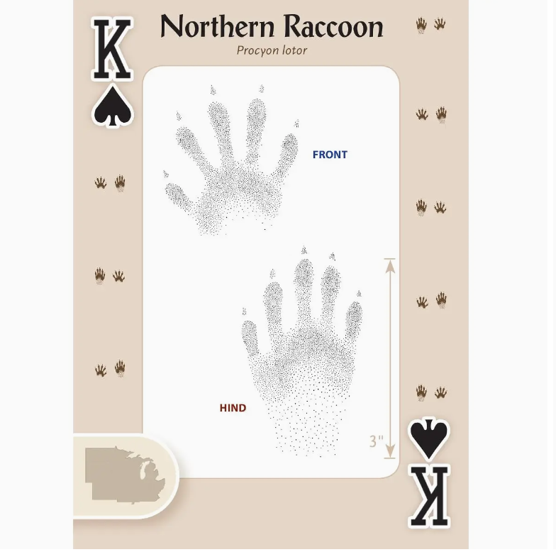 Animal Tracks of Midwest Playing Cards