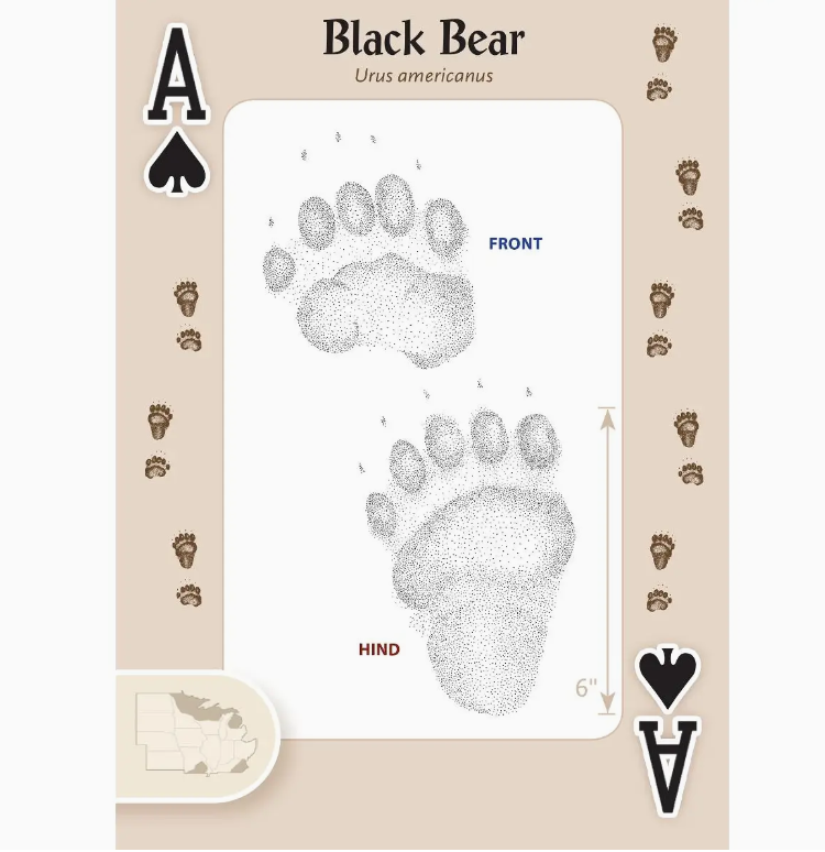 Animal Tracks of Midwest Playing Cards