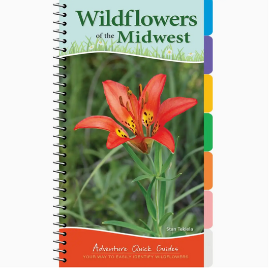 Wildflowers of the Midwest Quick Guide