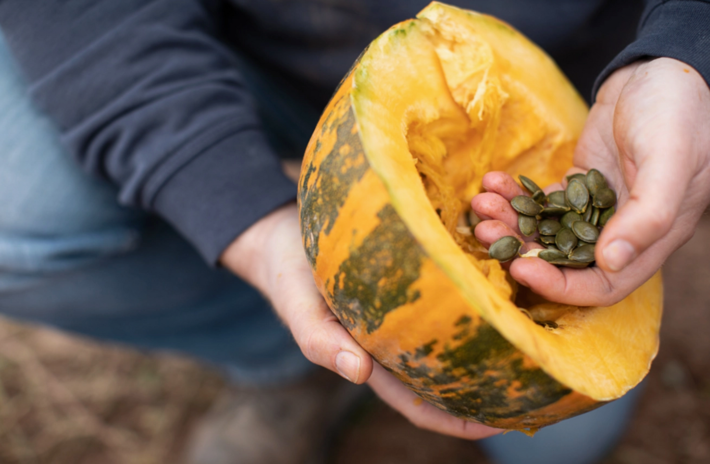 Organic USA Grown Pumpkin Seeds