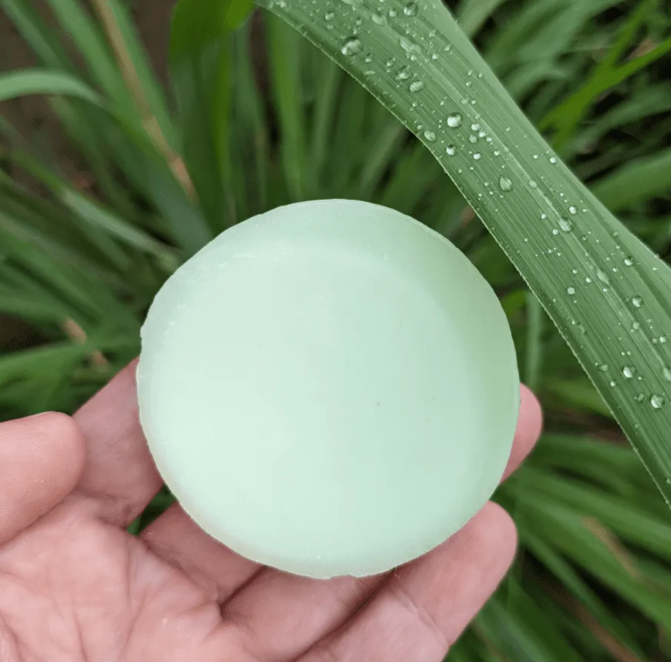 Tangie: Rosemary Lime Lemongrass Conditioner Bar